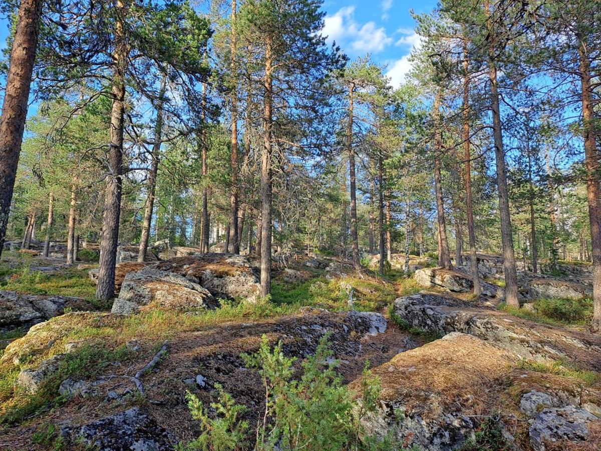 Room In Polar Circle Rovaniemi Ngoại thất bức ảnh